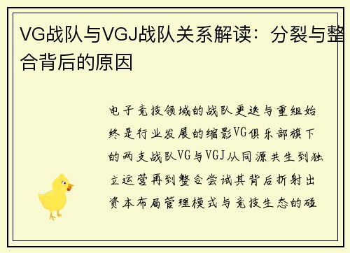 VG战队与VGJ战队关系解读：分裂与整合背后的原因